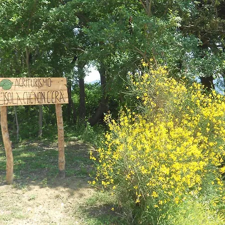 Agriturismo L'isola Che Non C'era *