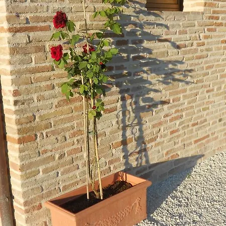 Farm stay Agriturismo L'isola Che Non C'era *