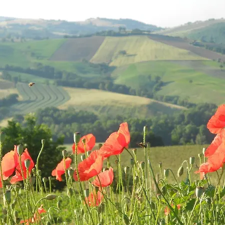 Agriturismo L'isola Che Non C'era Farm stay *