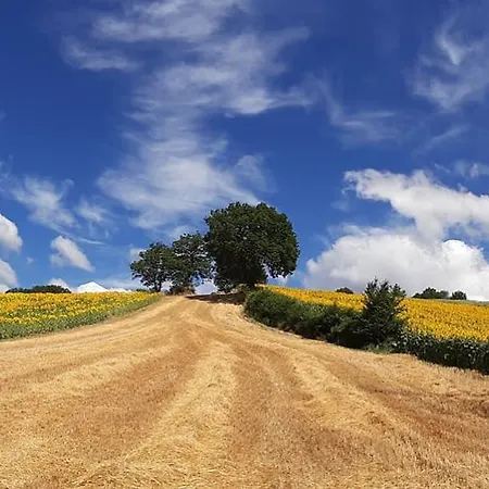 L'isola Che Non C'era * Apiro