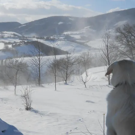 L'isola Che Non C'era * Apiro