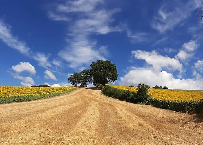 L'isola Che Non C'era * Apiro